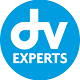 DV Experts